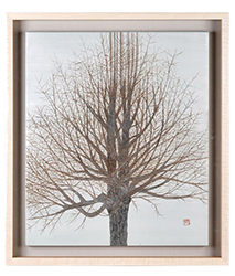 柴田和子　「Letter ‐冬」　62.0×55.5cm
