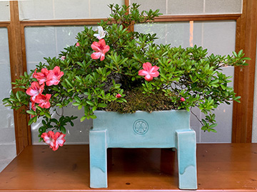 吉川良一「四方盆栽鉢」径34.0×34.0高25.0cm